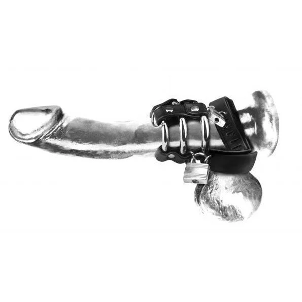 vibrating sex toy with waterproof design accessories-Long Ball Stretcher 3 Ring Chastity Cage by C&B Gear