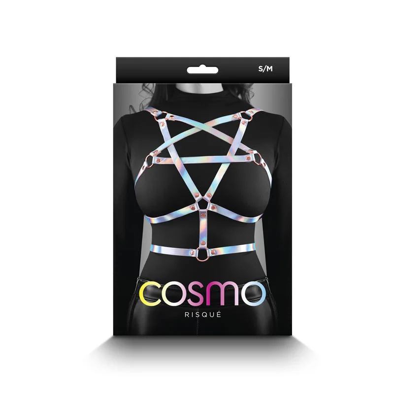 cute-sexy-lingerie-styles-Cosmo Harness Risque S/M