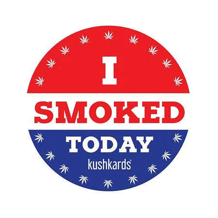 sexy-lingerie-with-silk-trim-I Smoked Today Sticker 3-Pack